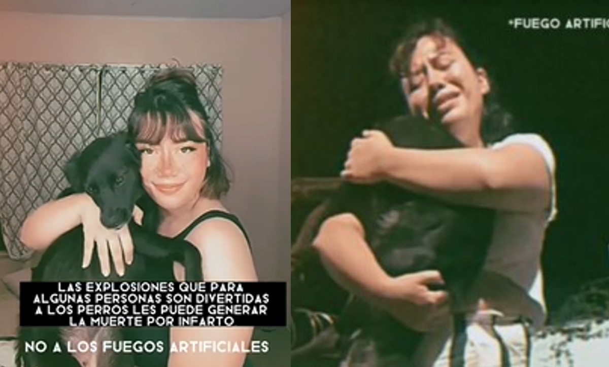Perrito muere por culpa de la pirotecnia; dueña llora y comparte triste historia | ESPECIAL