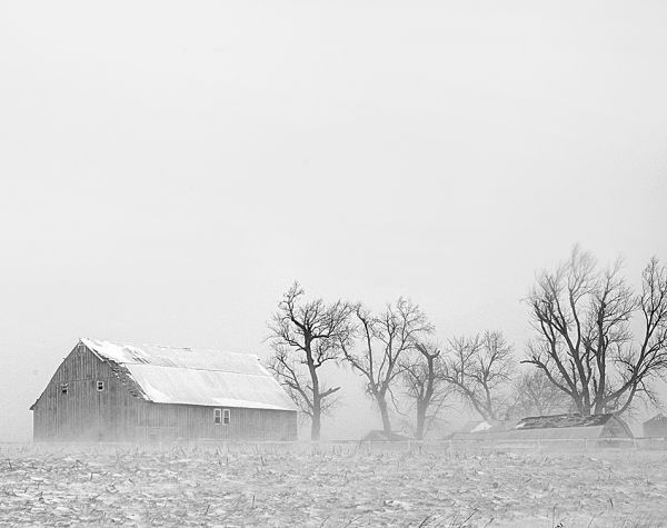 Zonas rurales en Iowa llegaron a 30 grados bajo cero. AP