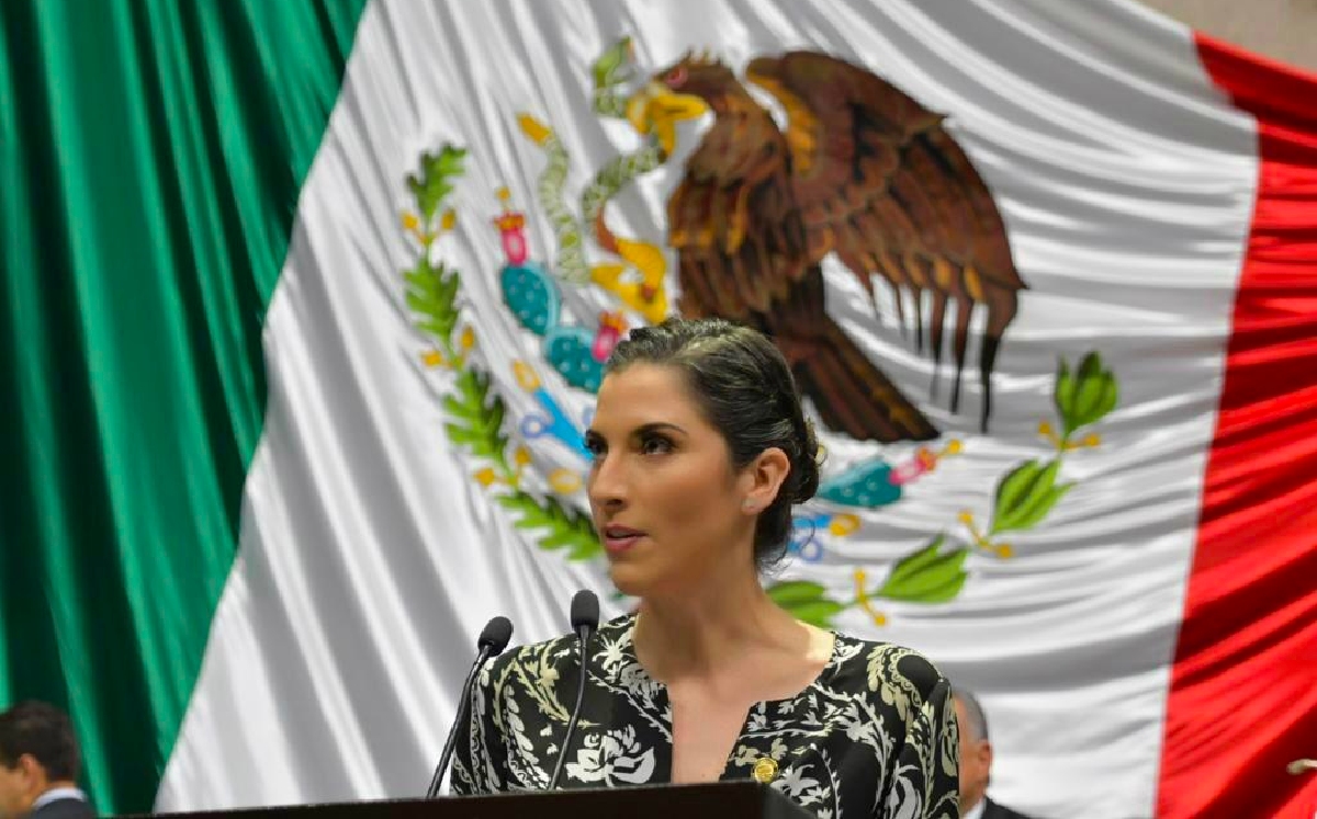La legisladora hizo un llamado a salvaguardar el derecho a la justicia de las mujeres. | @D_Ana_Bernal