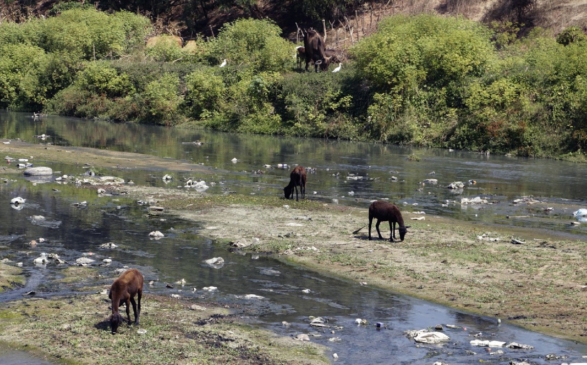 Si no se tiene las certificaciones, los proyectos podrían afectar el medioambiente. | Cuartoscuro