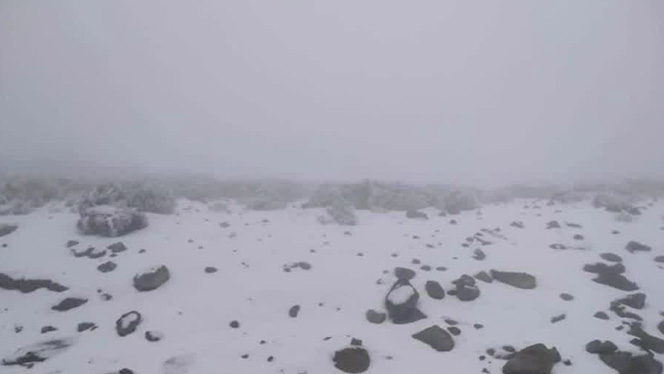 Restringen acceso al parque Cofre de Perote por fuerte nevada; Veracruz