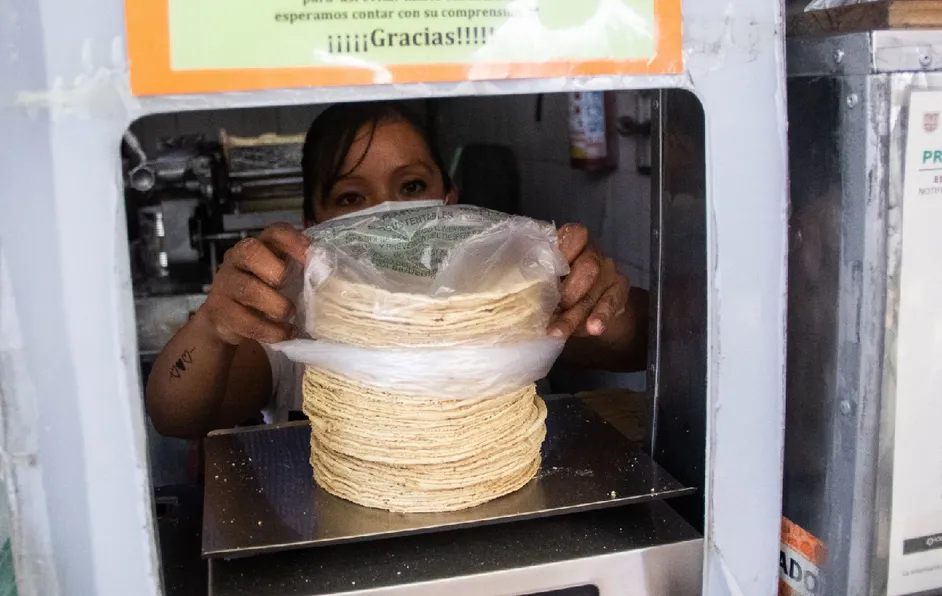 Senadores piden a Profeco vigilar que precio de tortilla no exceda los acordados