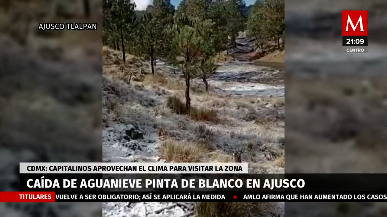 Ajusco y zonas altas de CdMx se pintan de blanco por la caída de nieve