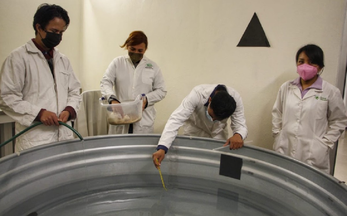 Las investigaciones incluso llegan a colaborar con la NASA (Foto: Melanie Torres)