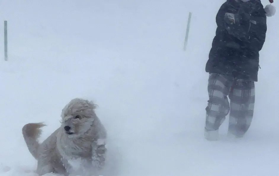 Larga e intensa tormenta invernal paraliza zonas de Nueva York