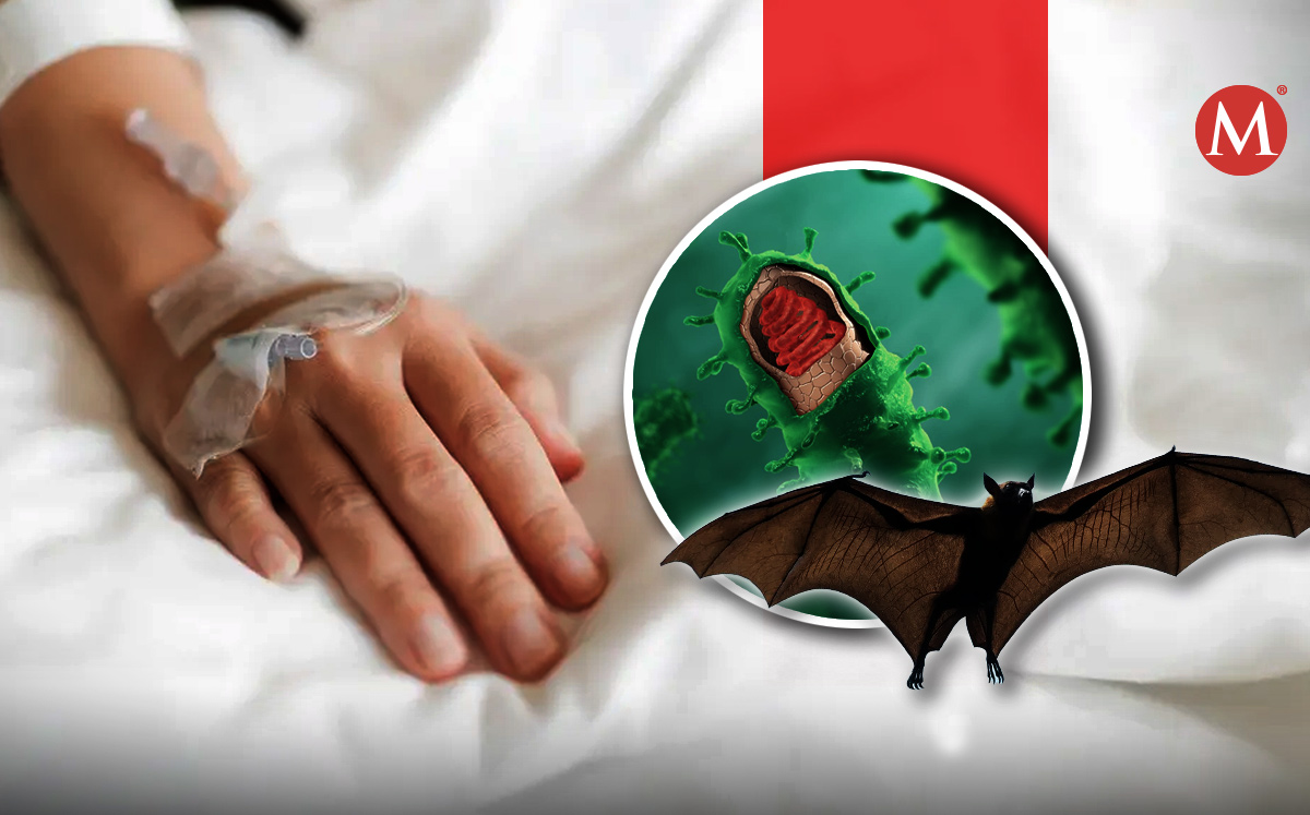 Los niños infectados con presunta rabia en Oaxaca son hermanos. | Shutterstock