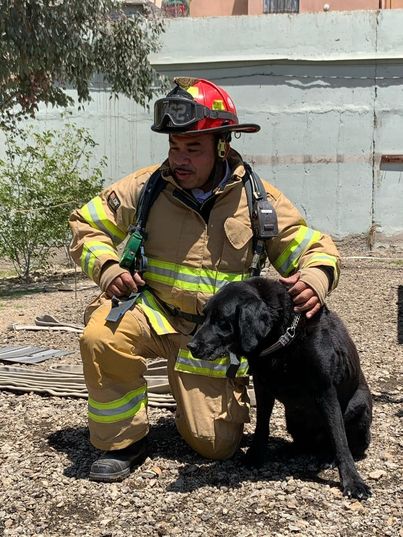 Bomberos aseguran que 'Max' es un perro de raza mayor. (Tomada de @bomberostijuana)