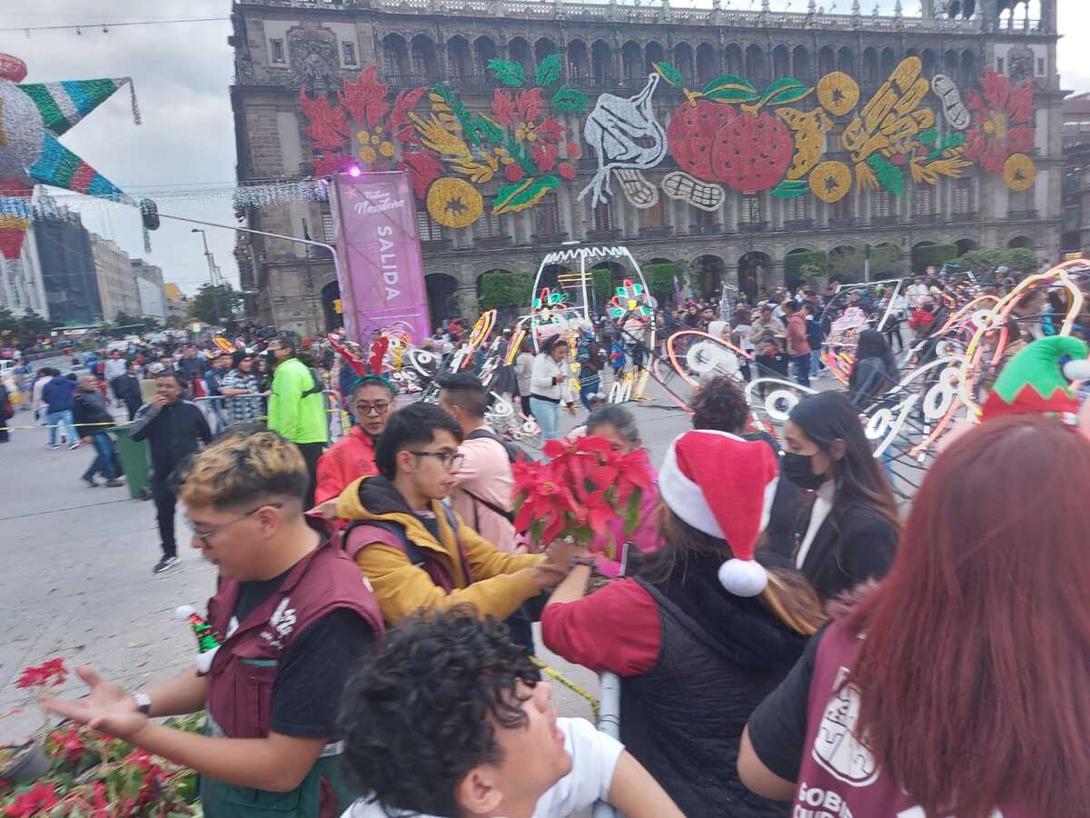 El único requisito para ser acreedores a la planta es formarse.