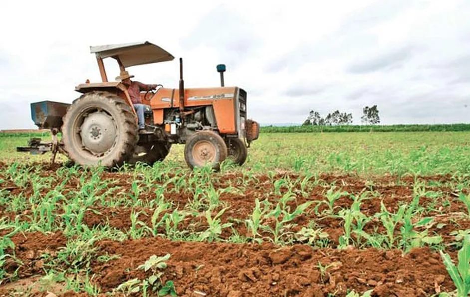 Productores agrícolas protestan contra Financiera Nacional de Desarrollo