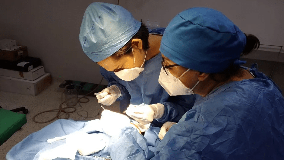 Más de 20 mil pacientes mexicanos están en lista de espera de órganos