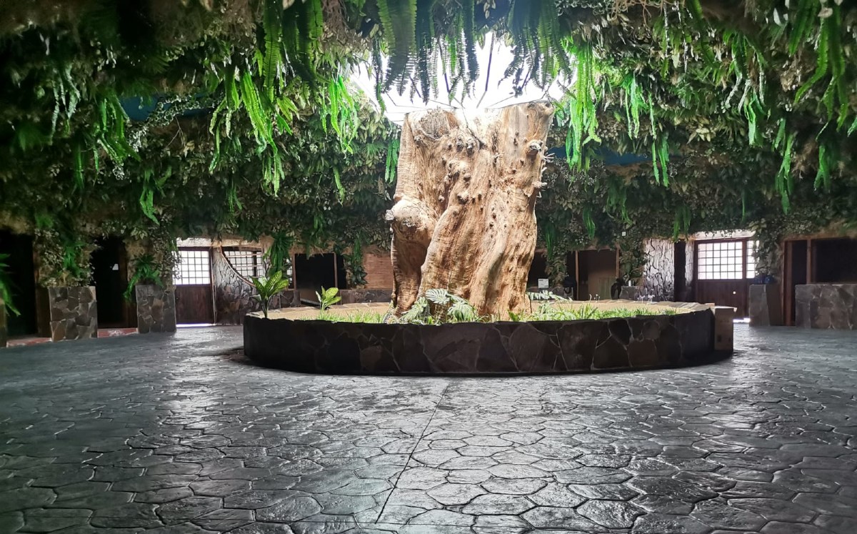 El Parque Ecológico Zacango cuenta con una superficie de 32 hectáreas. (Foto: Especial)