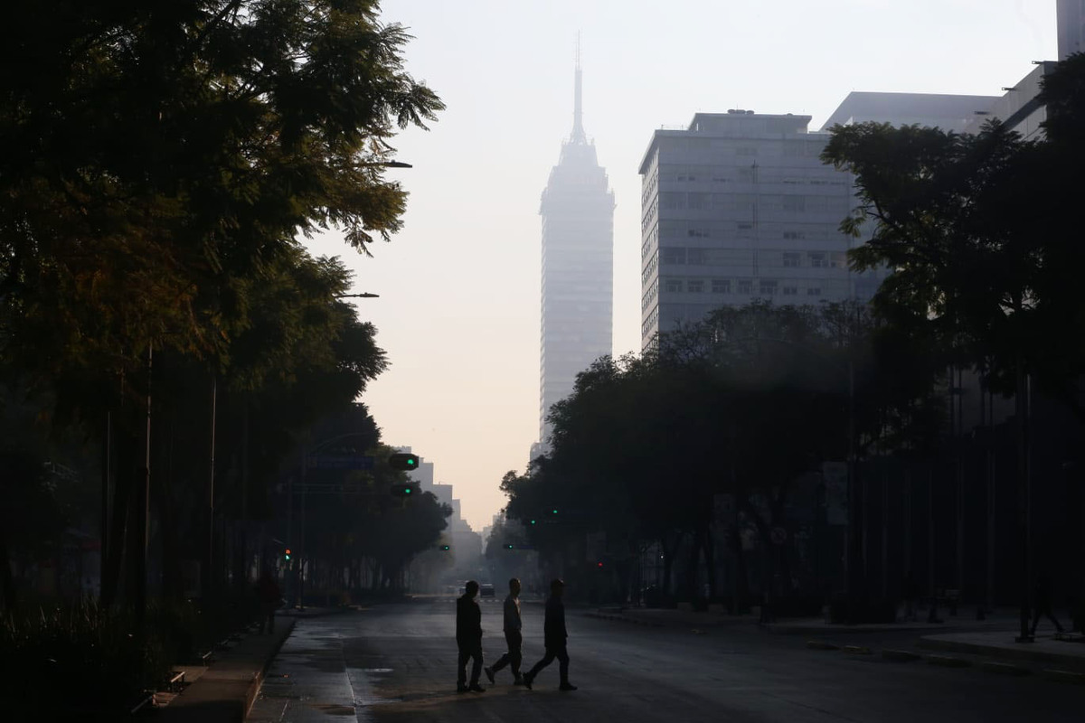 Ante las celebraciones para recibir el año nuevo, las calles de la Ciudad de México amanecieron vacías y contaminadas.