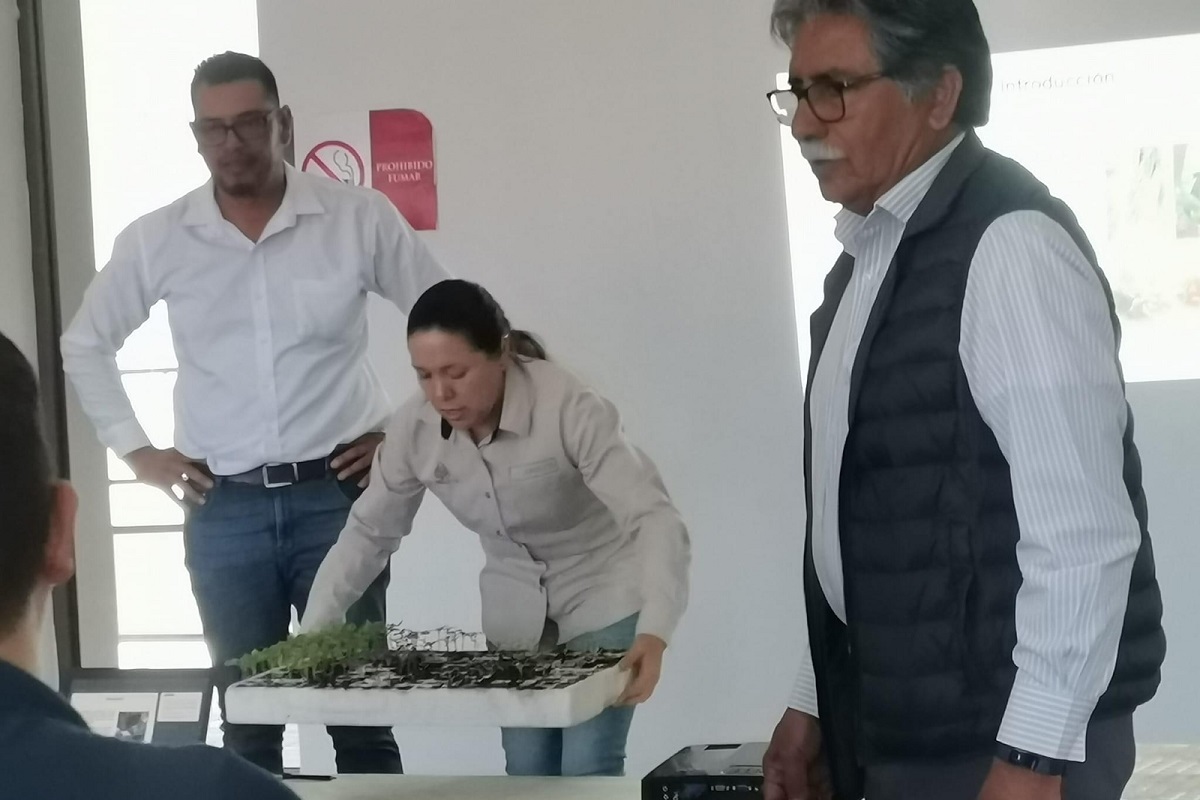 La capacitación será de utilidad para la instalación y seguimiento de huertos orgánicos rurales. (cortesía)