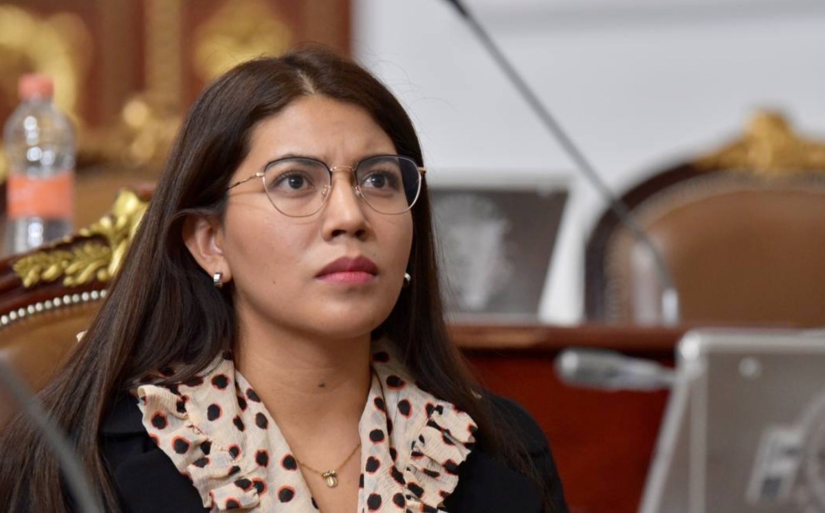 Frida Guillén, presidenta de la Comisión de Turismo | Especial