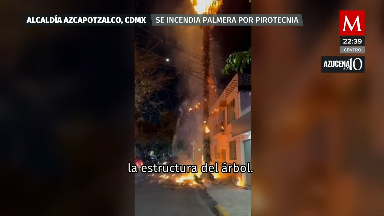 Una palmera es consumida por pirotecnia en Azcapotzalco