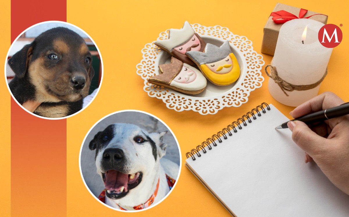Control Canino tendrá feria de adopción. (Especial)