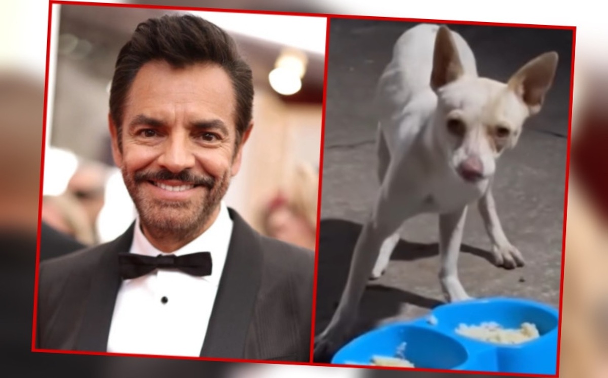 Eugenio Derbez rescata perrito de la calle (Especial)