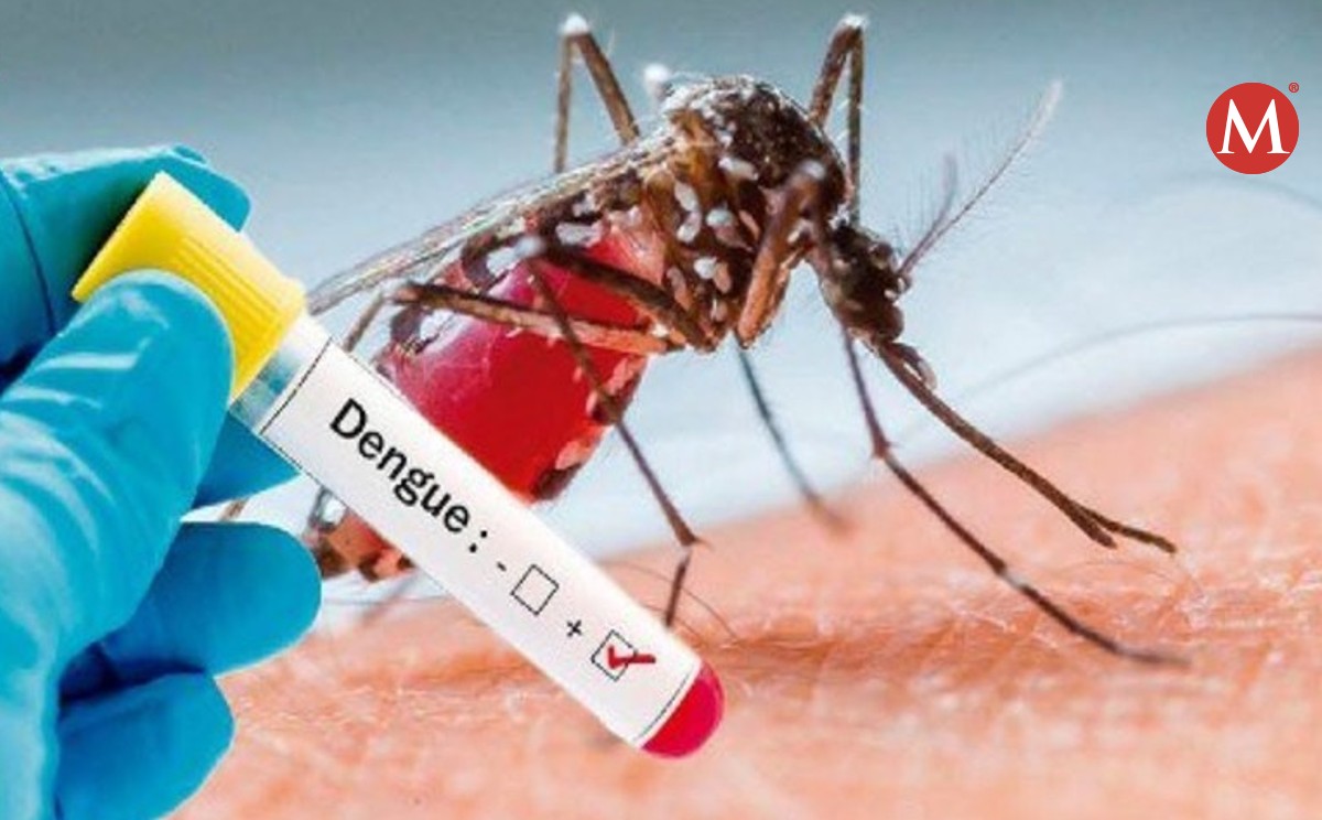 Reportan un caso positivo de dengue en Ciudad Madero