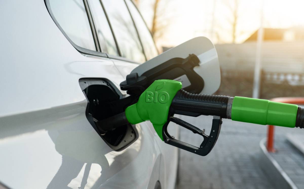 Gasolina en México. Foto: (Shutterstock)
