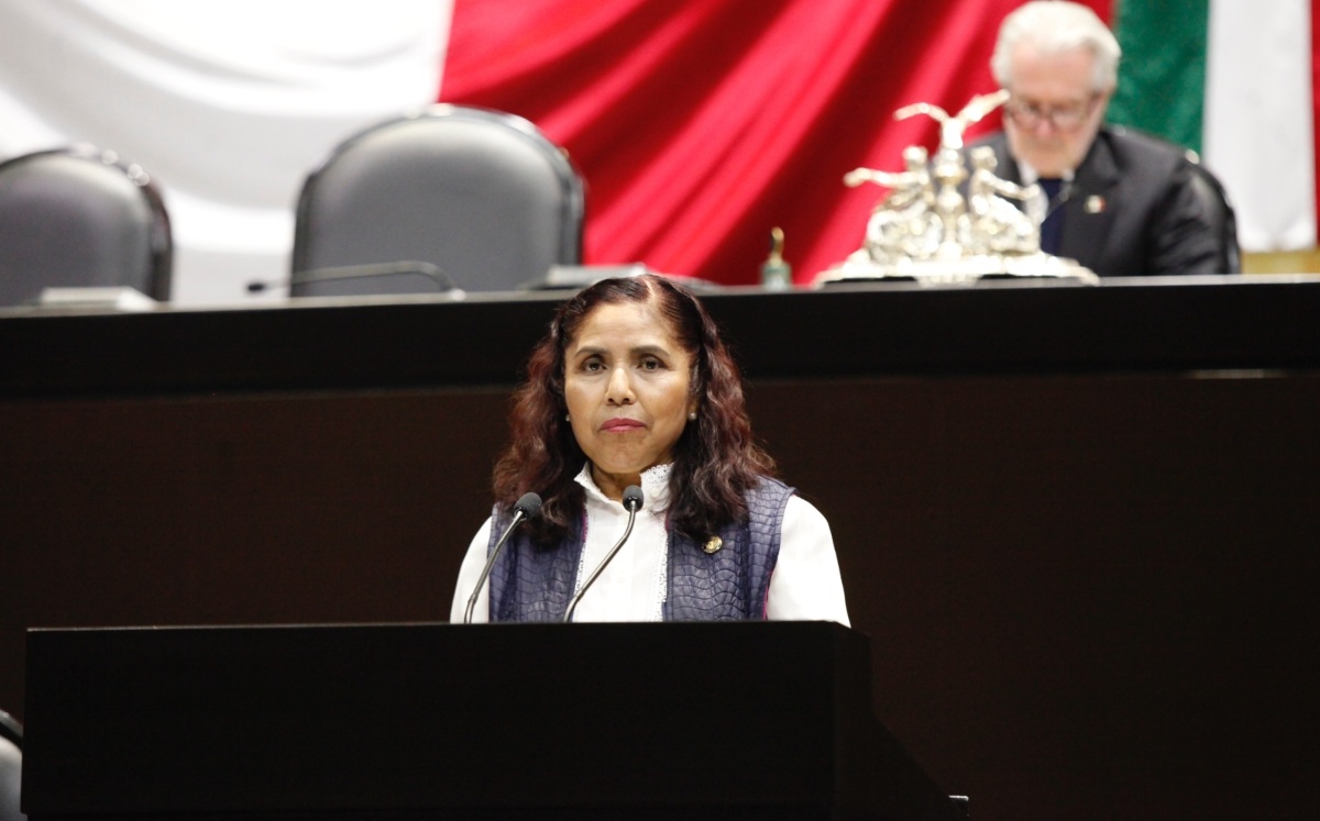 Graciela Sánchez Ortiz, diputada del Congreso de la Unión de México | Cortesía
