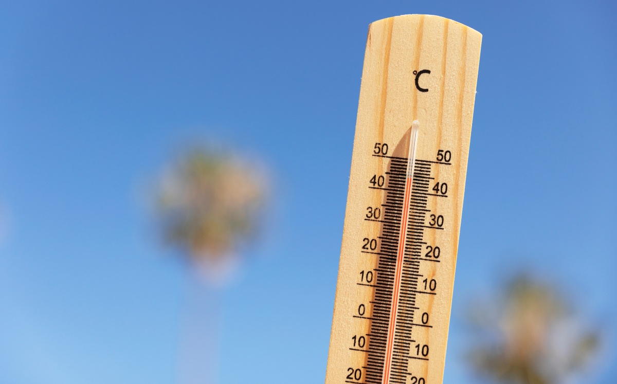 Récord de calor de 14.5 grados en Francia | Freepick