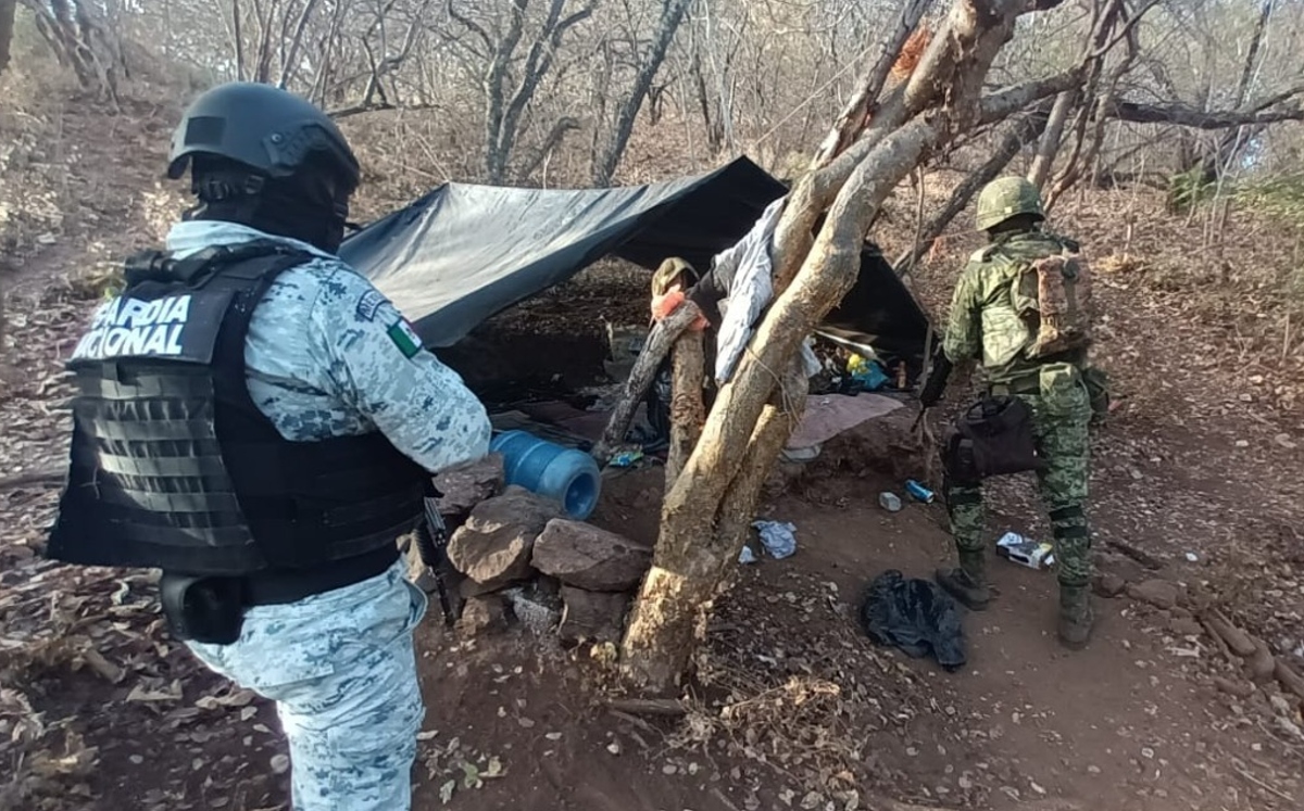 Fuerzas federales localizan y desmantelan dos campamentos clandestinos | César Cabrera