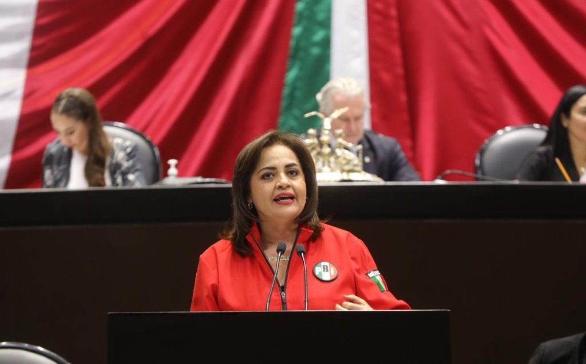 Ana Lilia Herrera, diputada del Congreso de la Unión de México | Cortesía