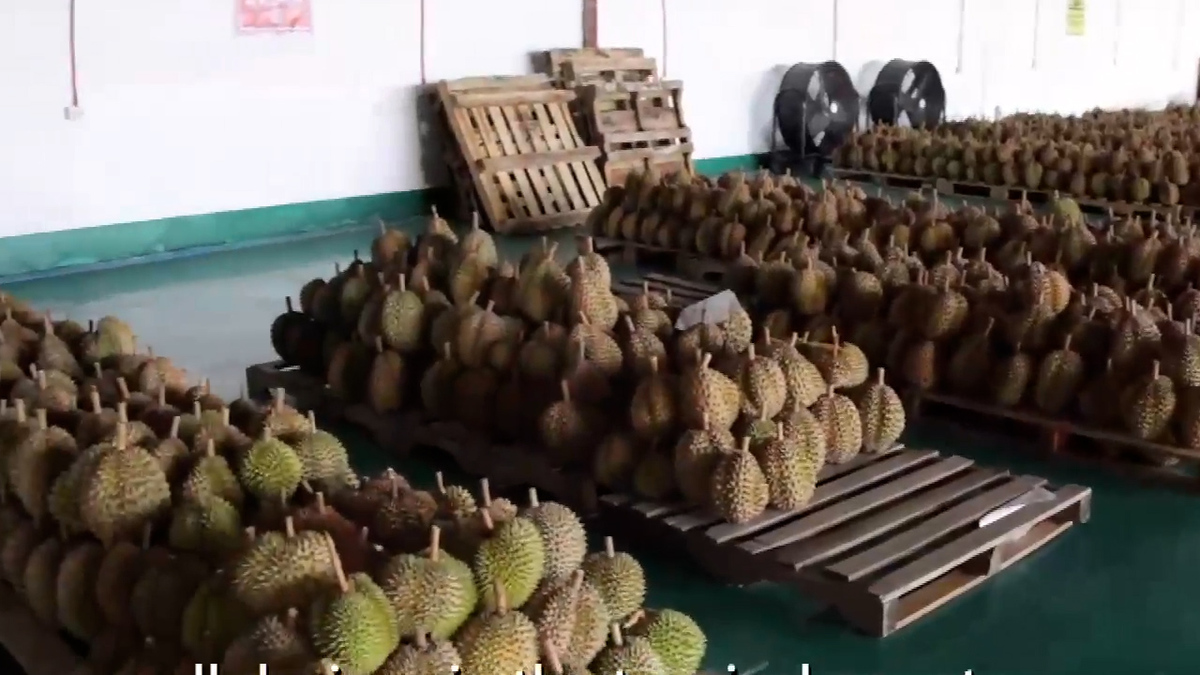 China y Filipinas fortalecen lazos en año nuevo