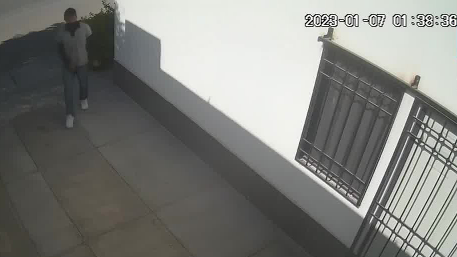 En Coahuila, dos perros evitan un robo a casa habitación