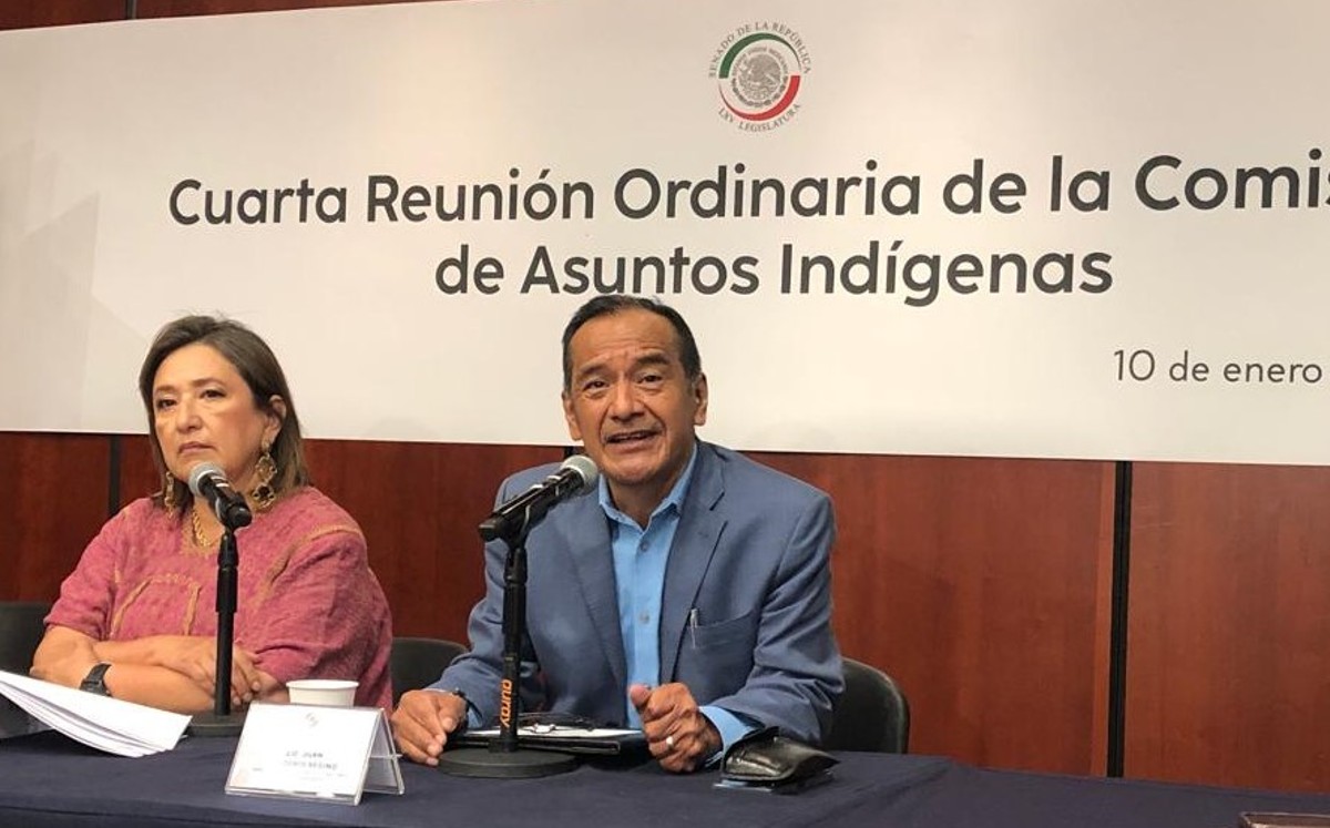 Senadores piden mayor presupuesto para Instituto Nacional de Lenguas Indígenas. | Especial
