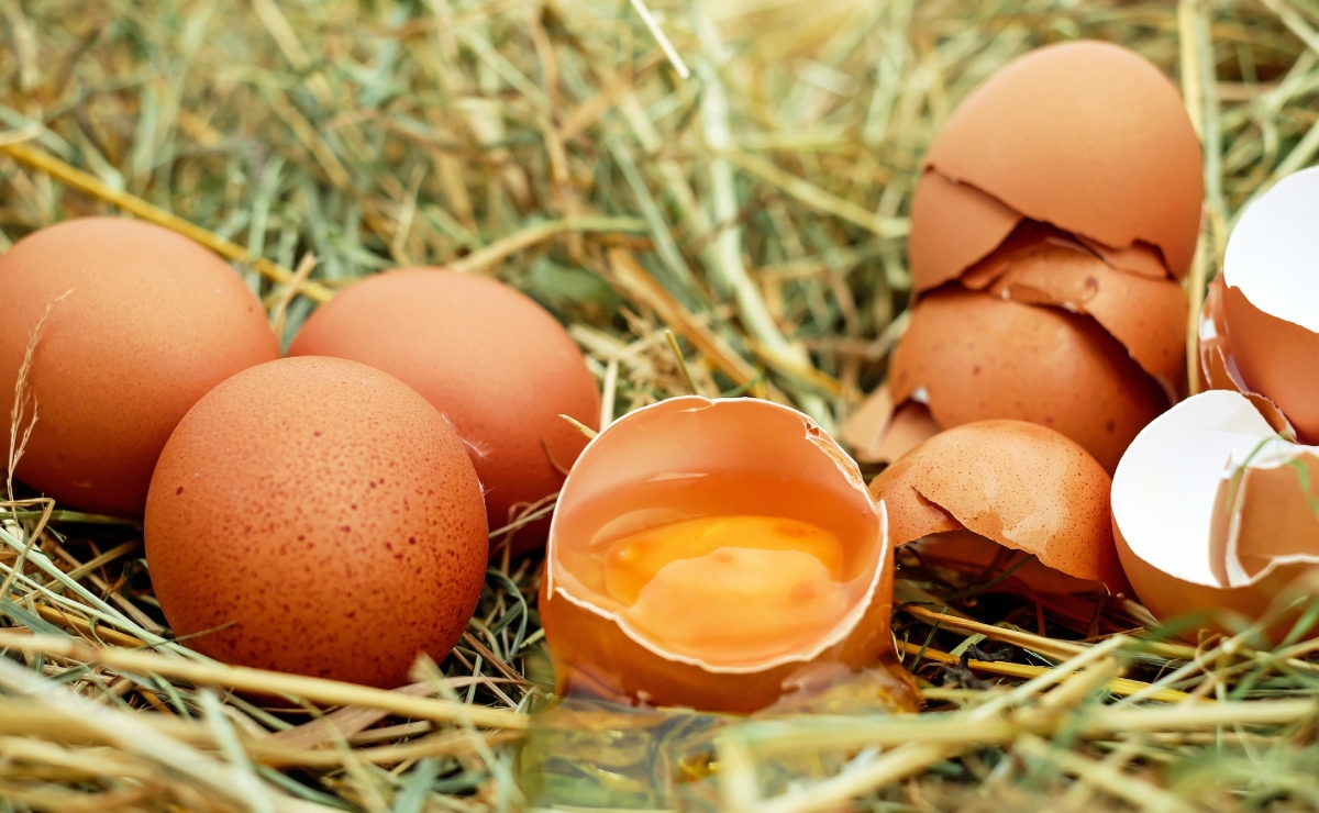 Los huevos subieron sus costos. | Foto de Couleur en Pixabay
