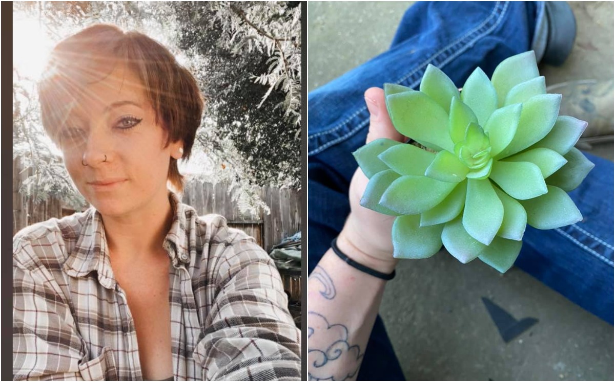 Mujer cuidó una planta falsa por dos años | Facebook