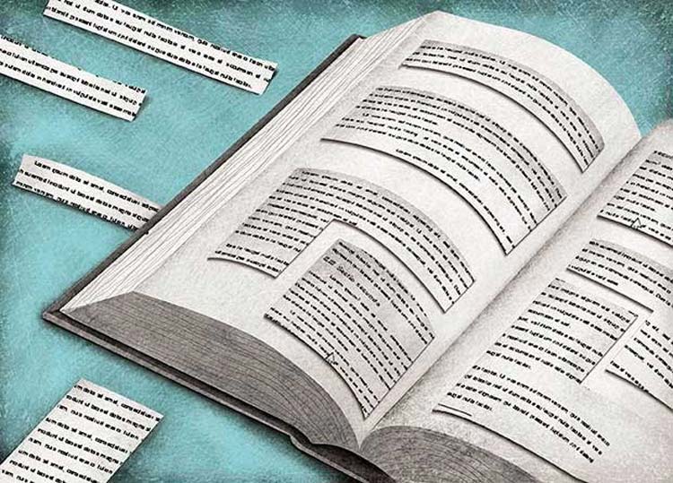 Los problemas de México podrán no ser productos del plagio, pero su defensa reproduce la desigualdad. | Belén García Monroy