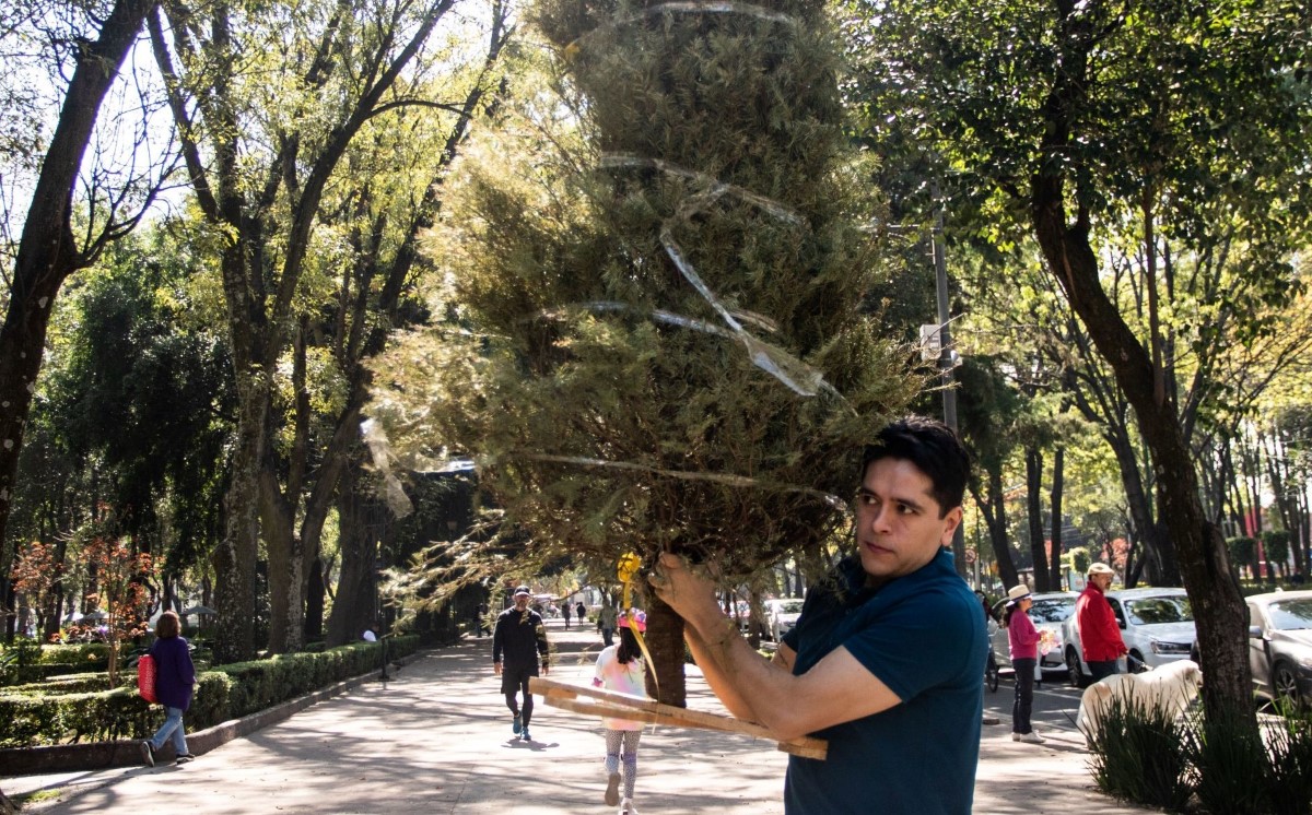 Protección Civil de CdMx dio recomendaciones para desechar los árboles de Navidad naturales. | Cuartoscuro