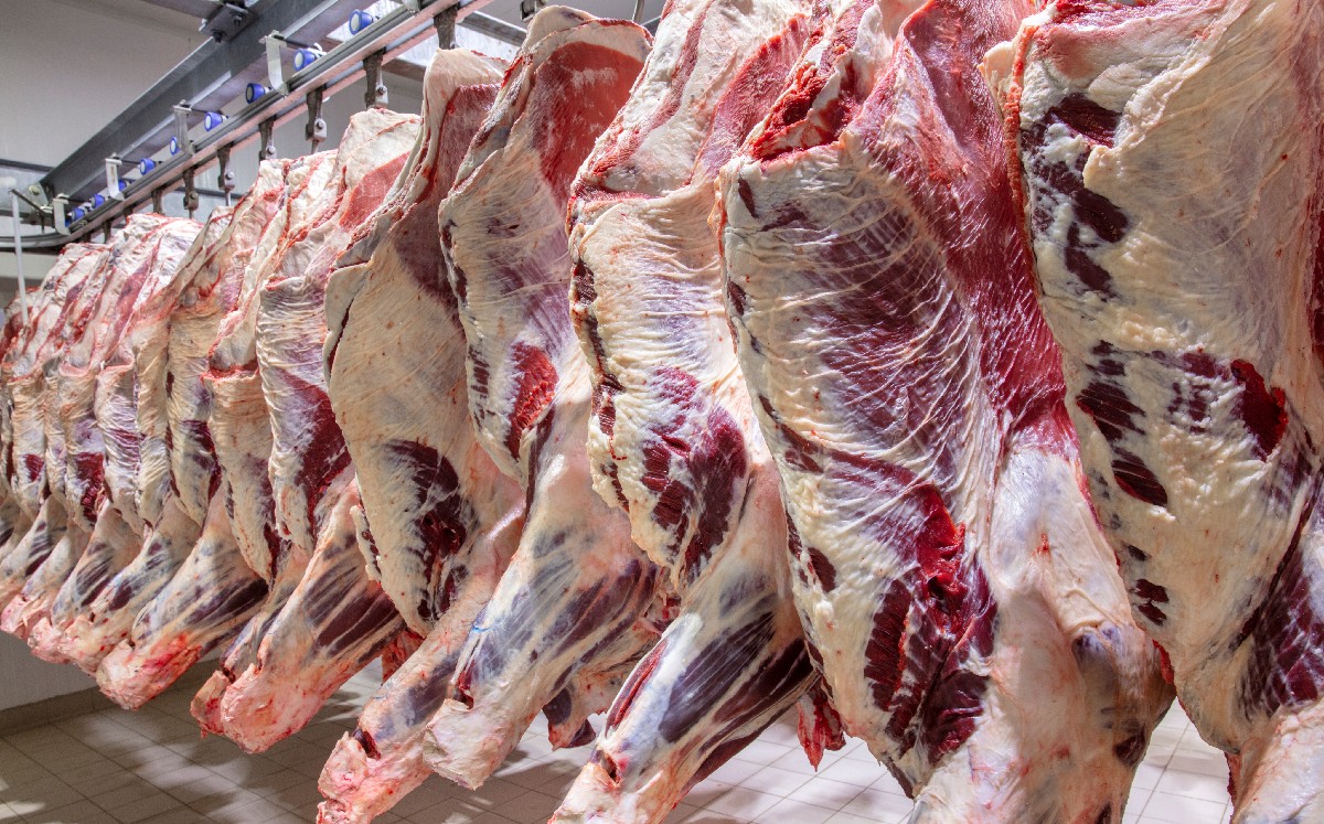 Carne bovina. (Foto: Shutterstock)
