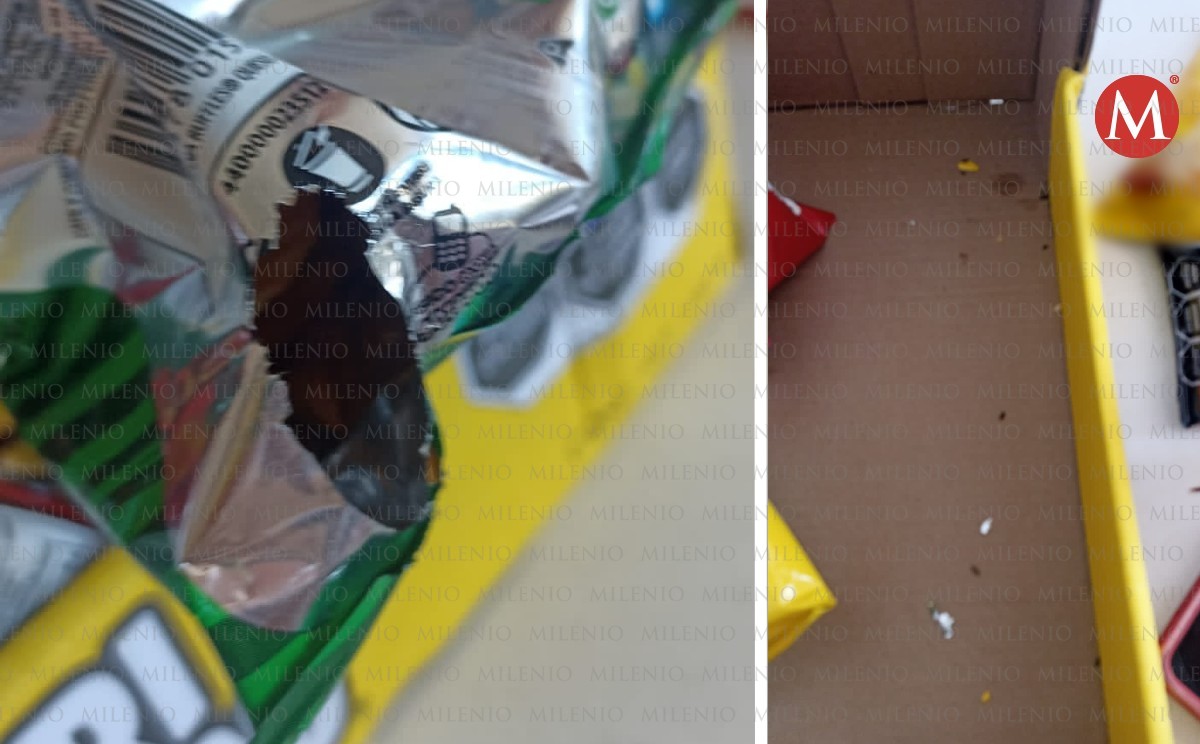excremento en comida chatarra