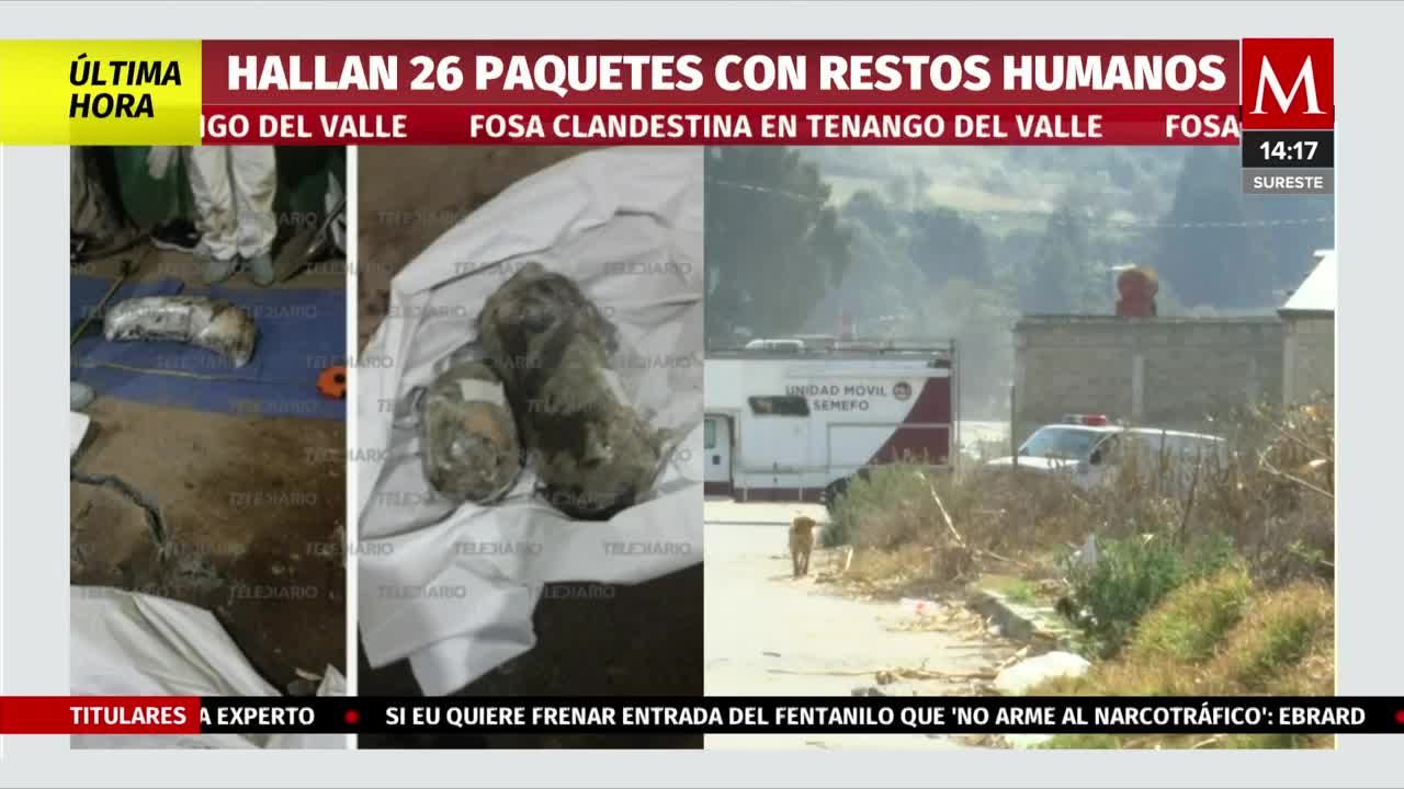 Hallan 26 paquetes con restos humanos en fosa clandestina en Tenango del Valle