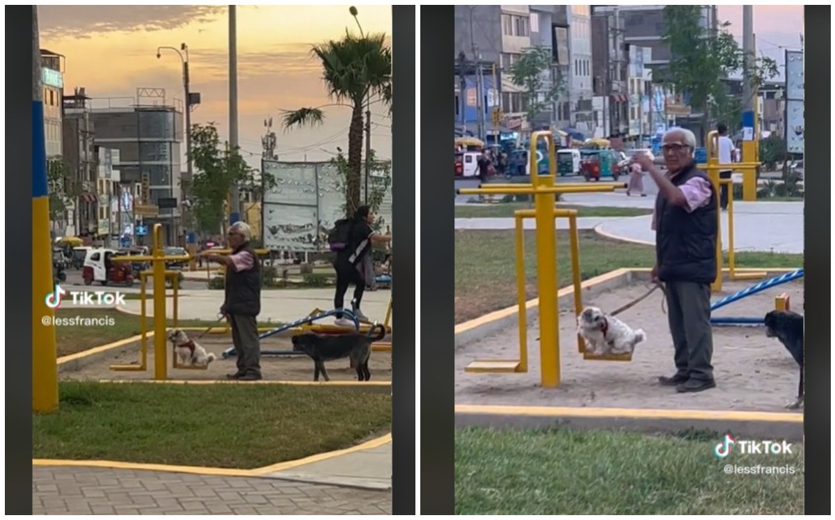 Captan a abuelito columpiando a perrito en un parque (Captura).