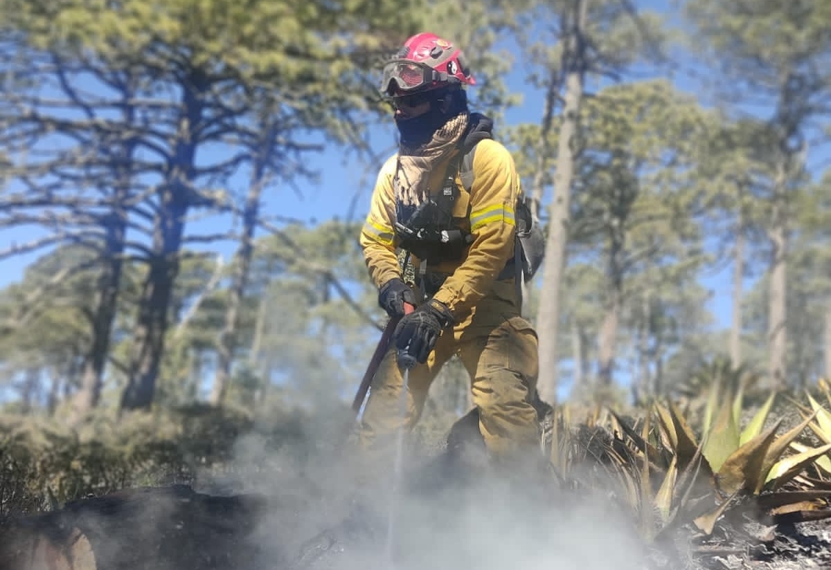 El incendio consumió alrededor de 12 hectáreas en la zona. Foto: Especial