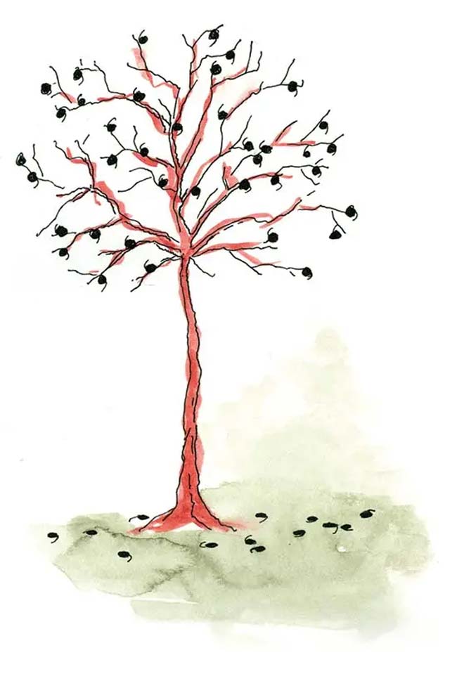 La cantidad de casos de plagio que hay en nuestro país es preocupante. | Víctor Solís