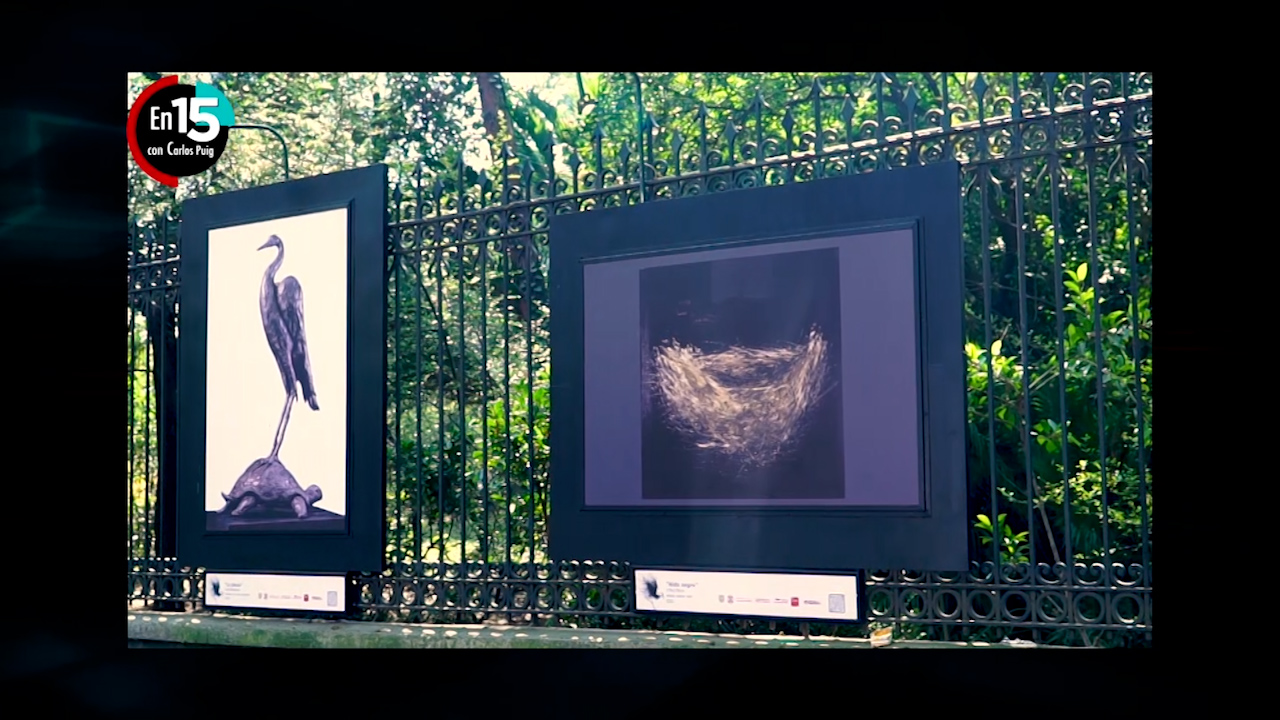 Animalista, la nueva exposición de arte ubicada en Chapultepec | En 15
