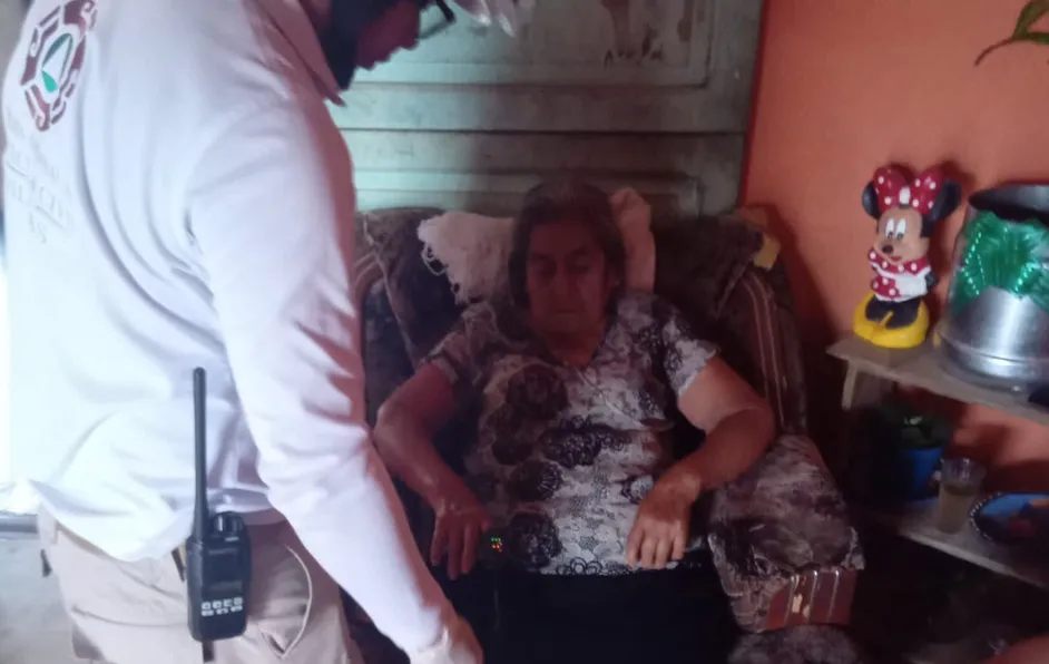 Enjambre de abejas ataca a mujeres dentro de panteón en Cinatalapa, Chiapas