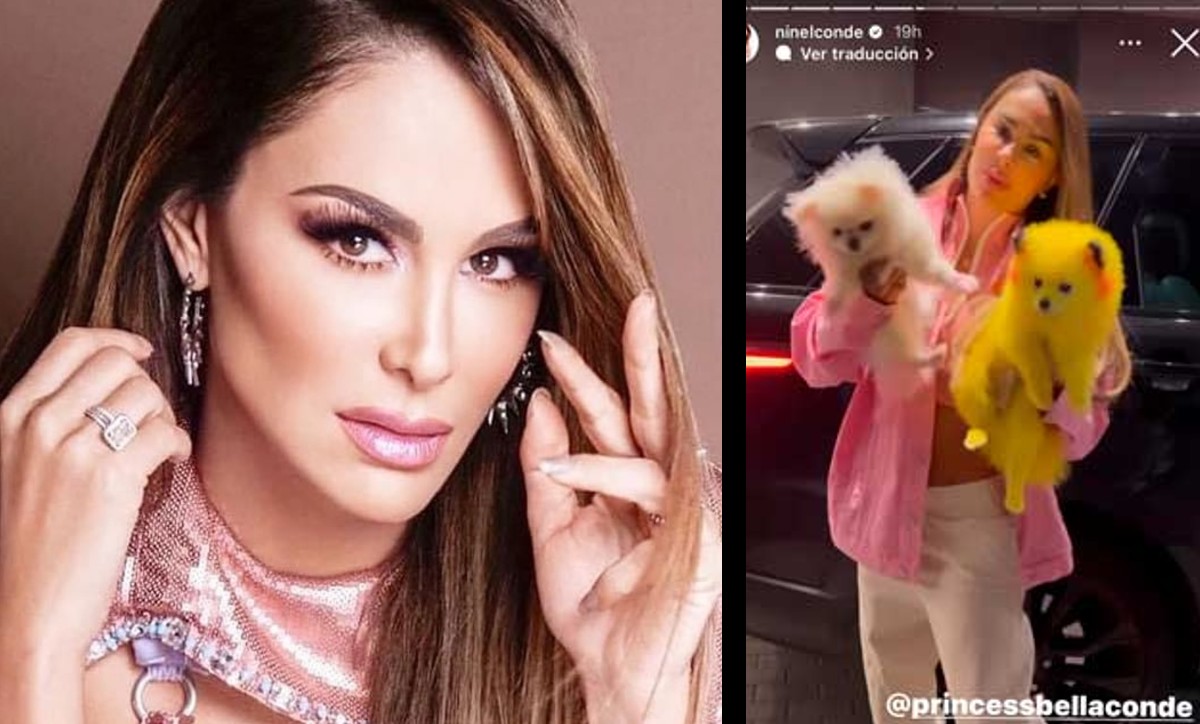 Ninel Conde es criticada por subir foto con perrito pintado como Pikachu | ESPECIAL