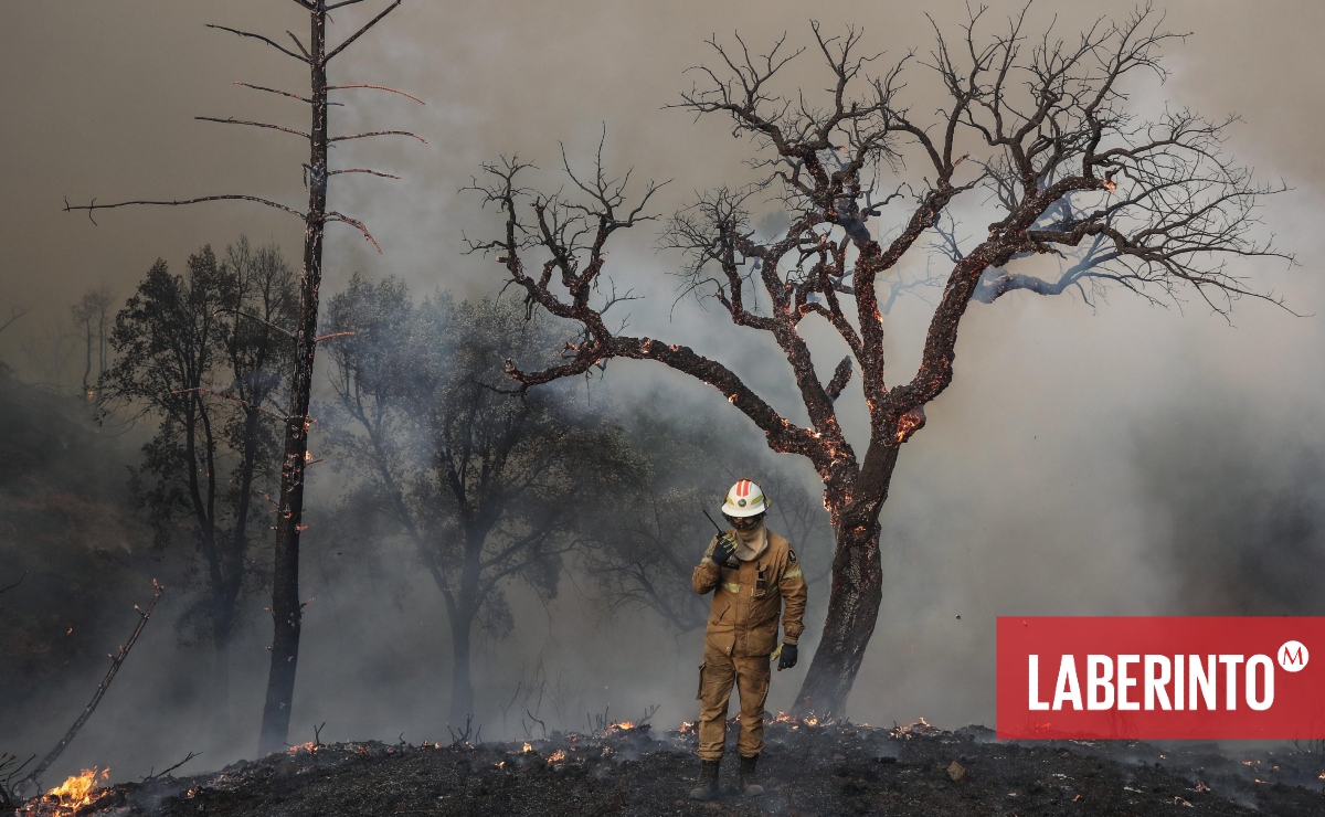 Bomberos combaten un incendio forestal. (Foto: Miguel A. Lopes | EFE)