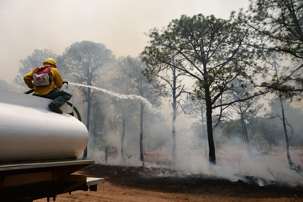 brigadistas combatiendo incendios. (Cuartoscuro)