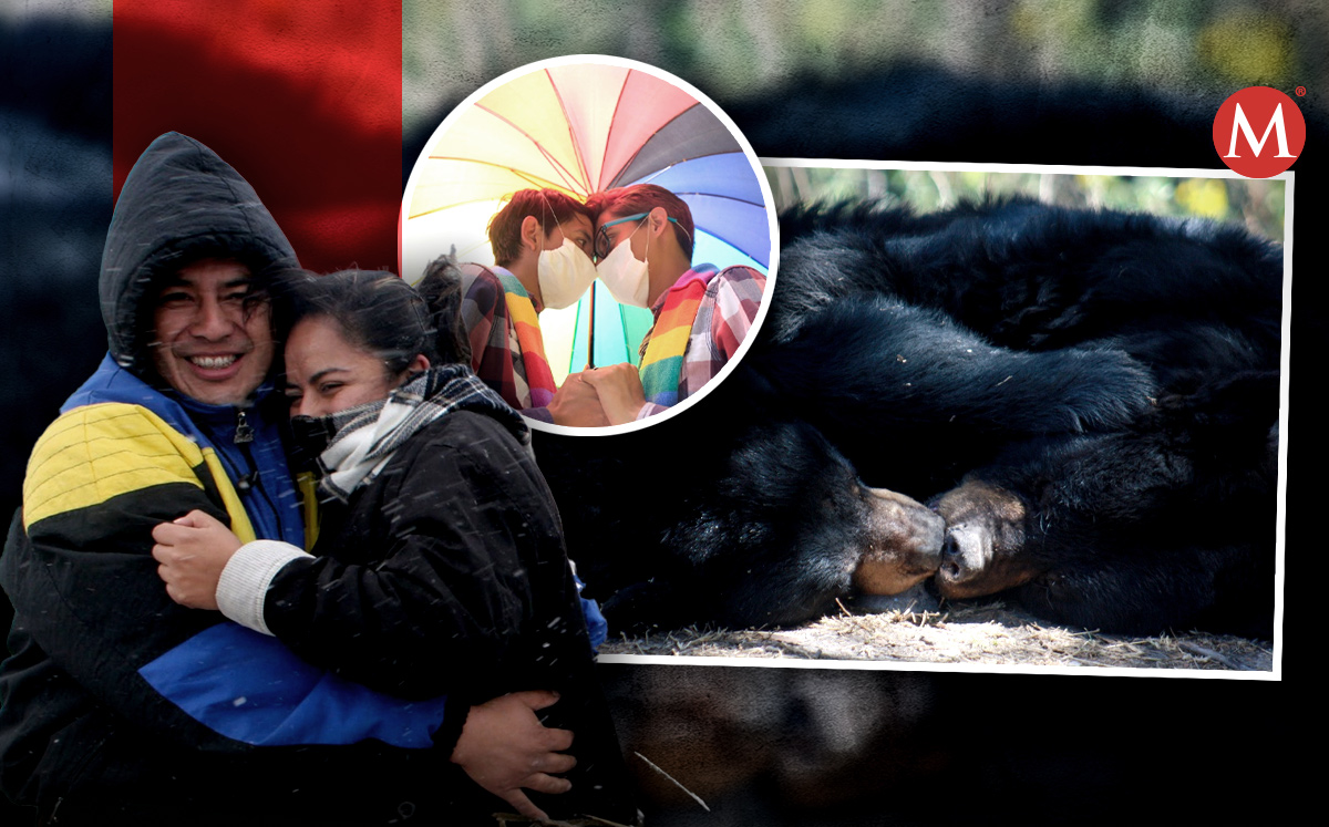 Día del Abrazo | Andrés Lobato