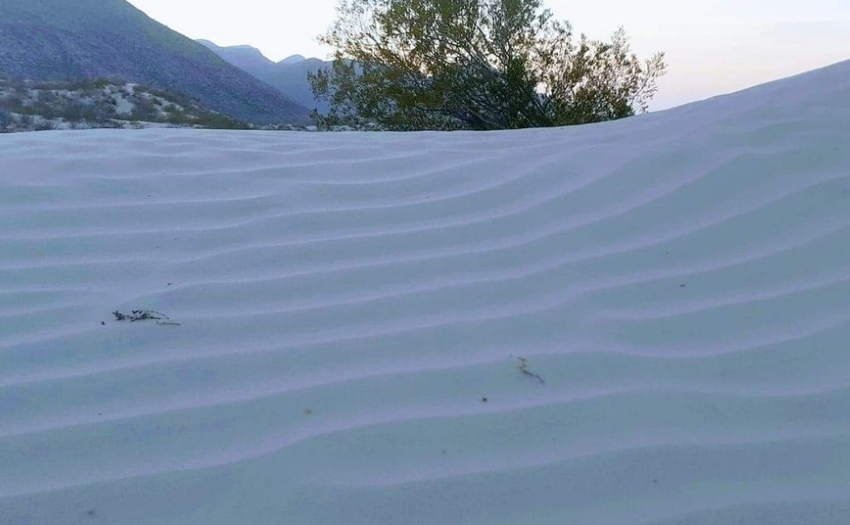Dunas de Tacubaya, en San Pedro, Coahuila | Cortesía Facebook