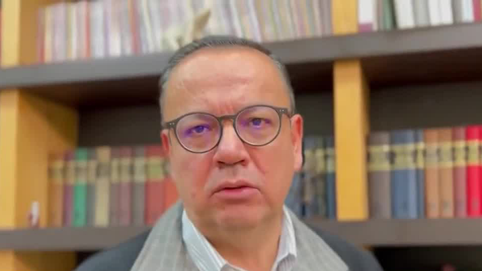 "Le pido a la UNAM se coloque a lado de la decencia": Germán Martínez, senador del Grupo Plural