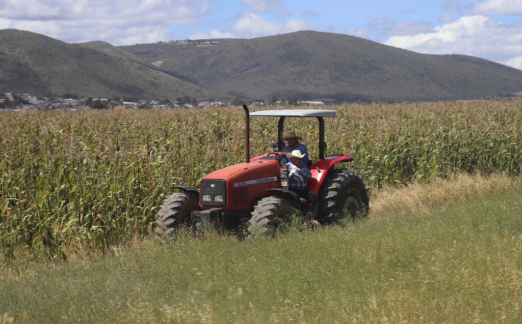 Trabajadores agrícolas esperan mejorar con la tecnología aplicada.
