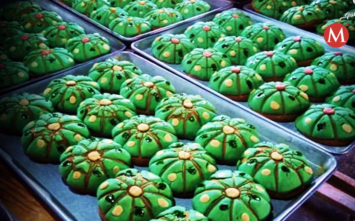 Peyoconchas